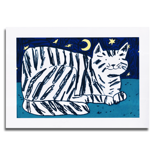 Starlight Kitten