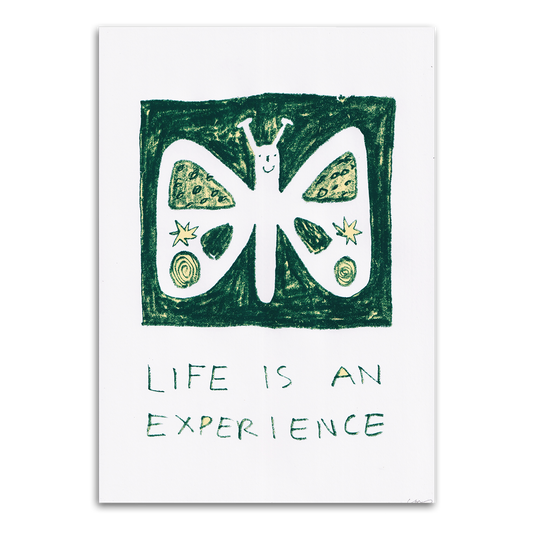 Life Is An Experience